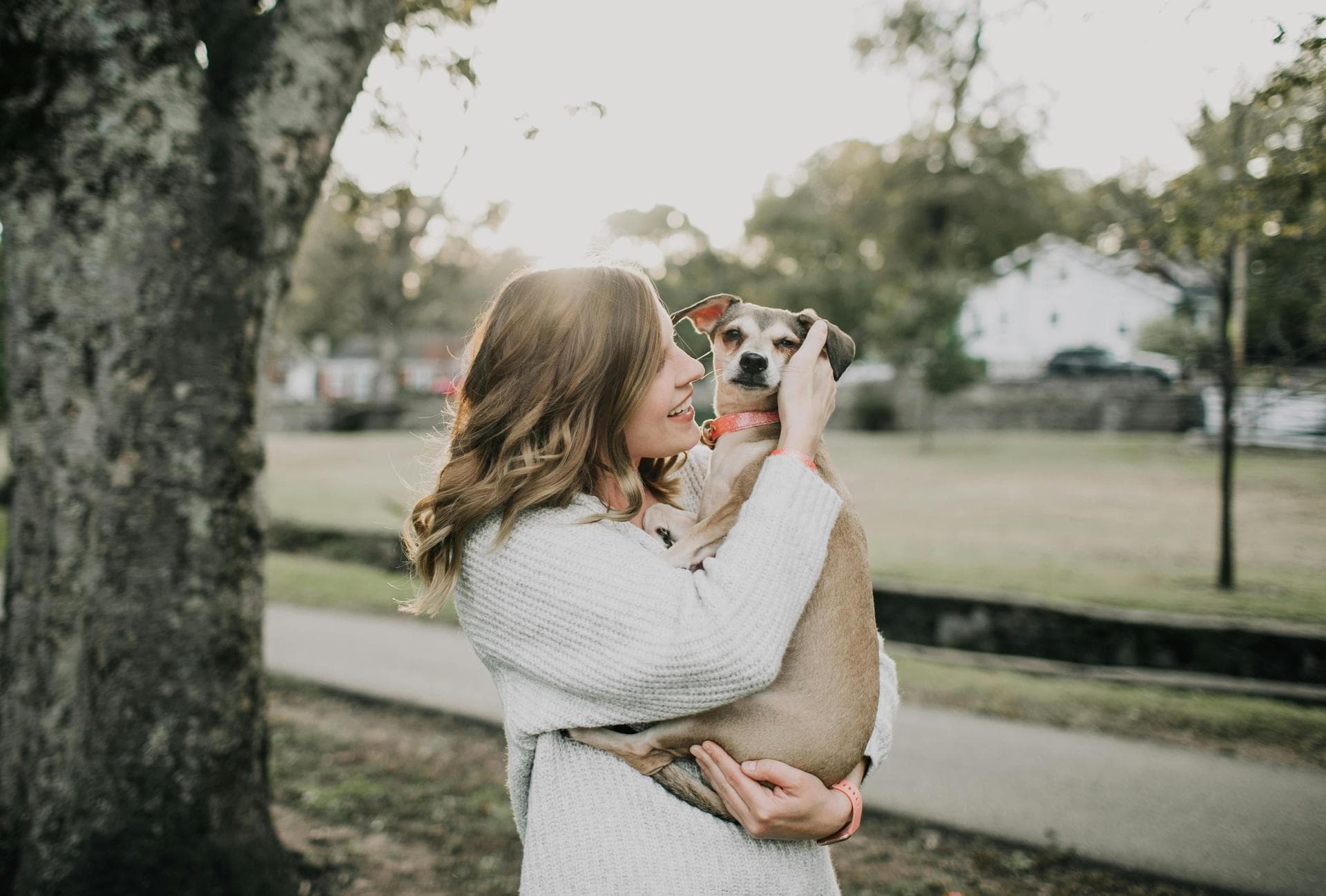 Annual Vaccination With Kennel Cough Prices in Dundee